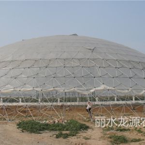湖北京山2550球形溫室