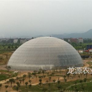 甘肅定西市1256鳥巢溫室