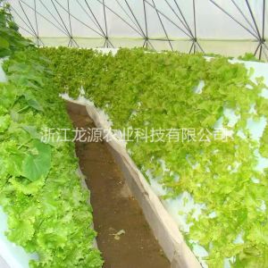 霧培案例