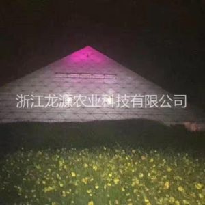 金字塔溫室