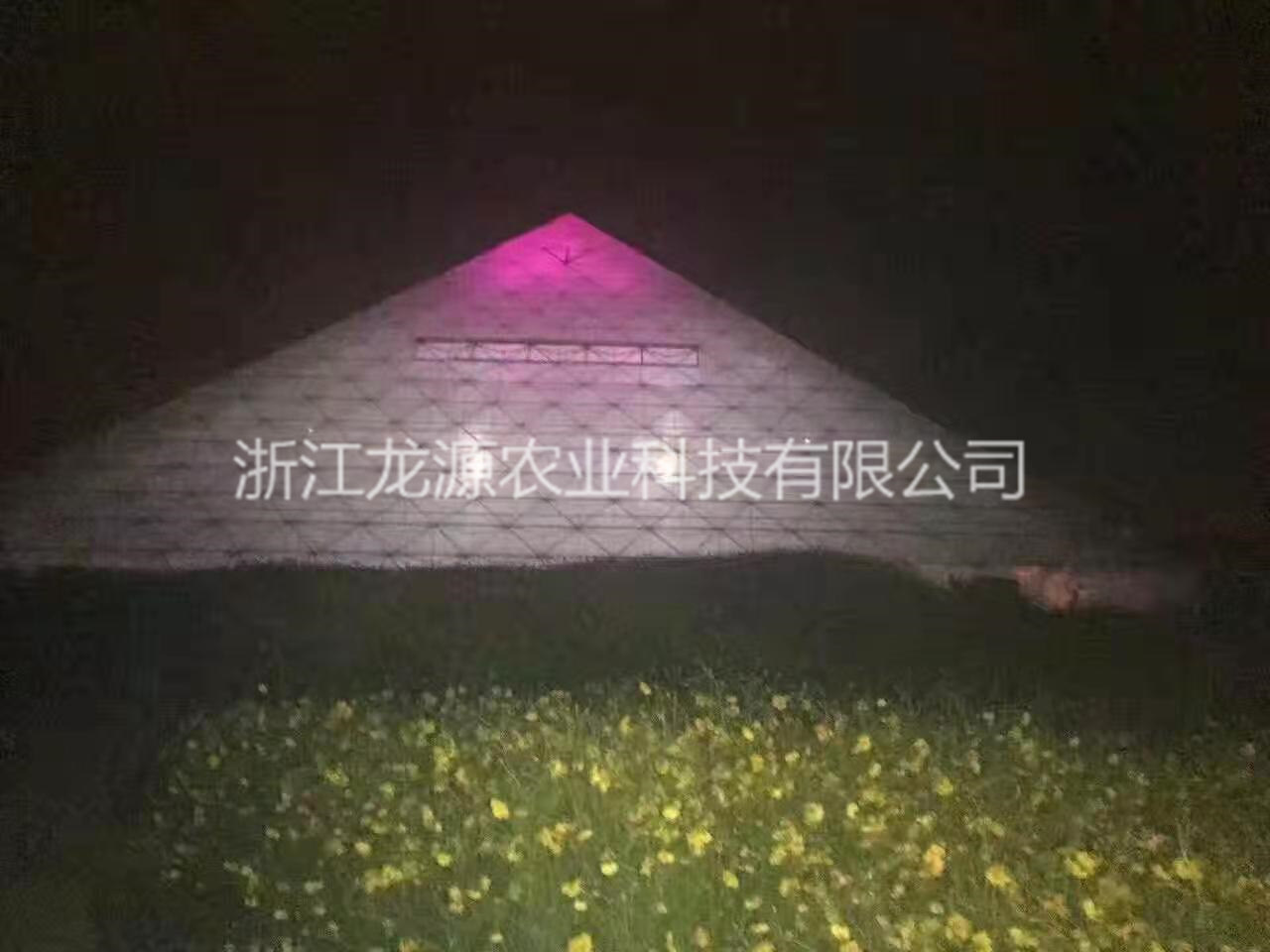 金字塔溫室