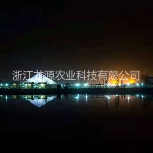 金字塔溫室