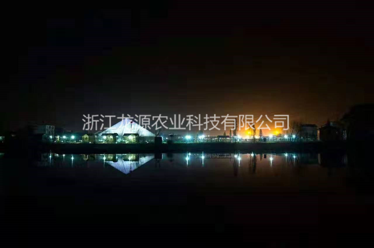 金字塔溫室