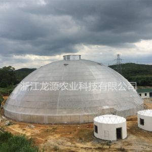 鳥巢大棚