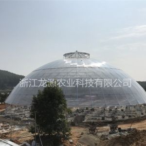 鳥巢大棚