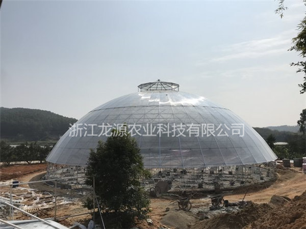鳥巢大棚