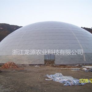 鳥巢大棚