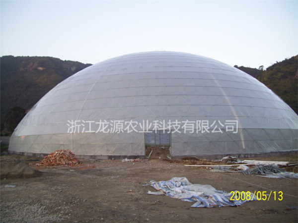 鳥巢大棚