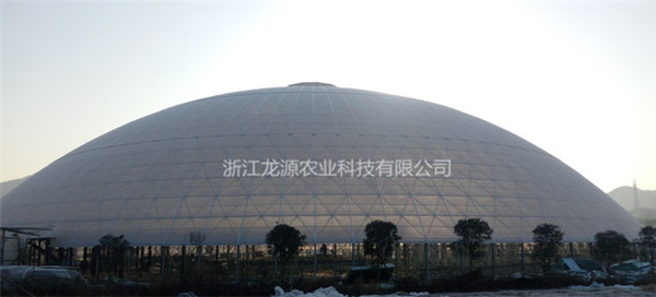 鳥巢大棚