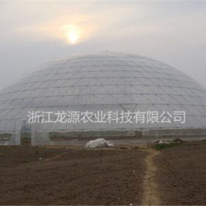 鳥巢大棚