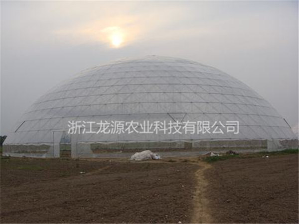 鳥巢大棚