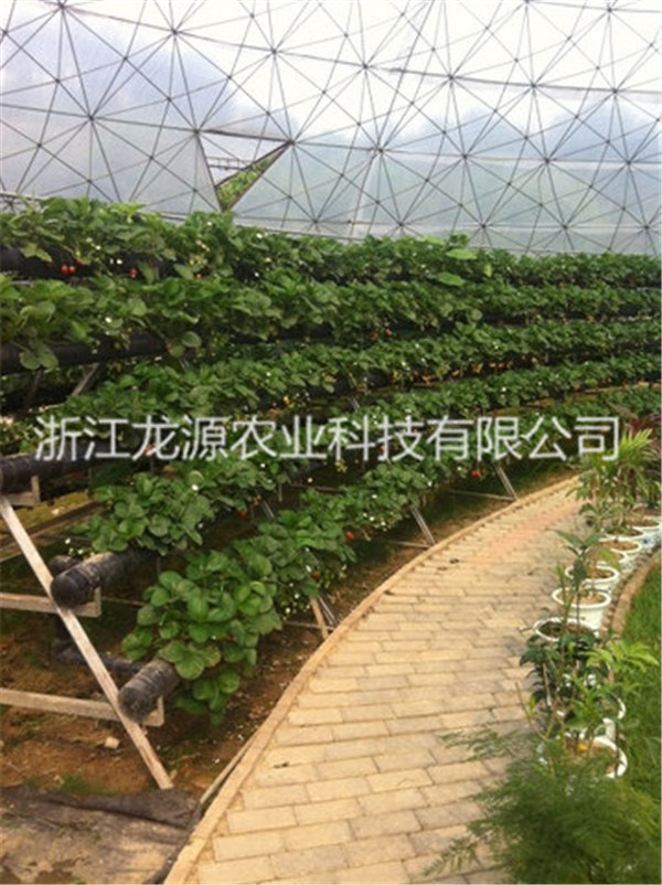 無土栽培