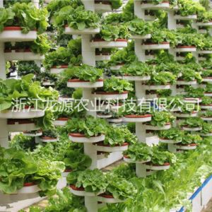 無土栽培