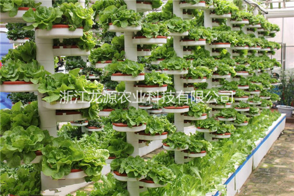無土栽培