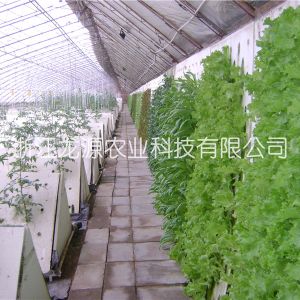 廣西案例
